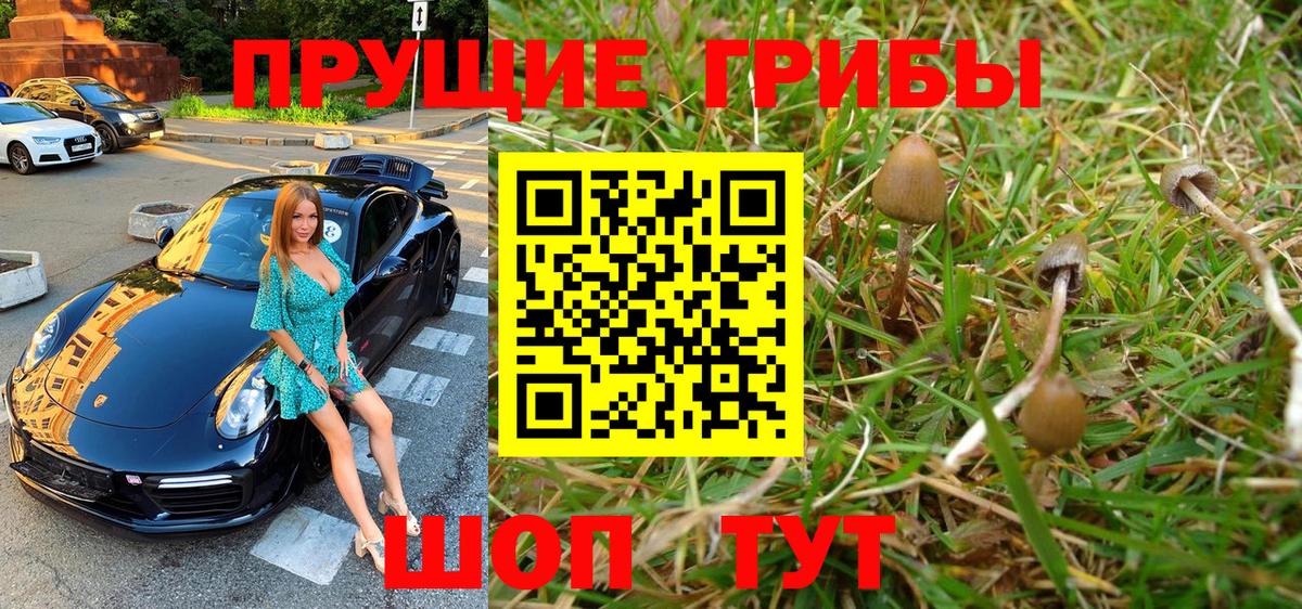 Псилоцибиновые грибы MAGIC MUSHROOMS Чистополь